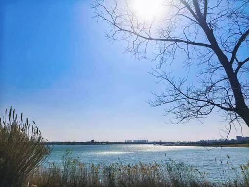 0057a30e547ac0bdcfd2aa54a3fc0c0 0057a30e547ac0bdcfd2aa54a3fc0c0